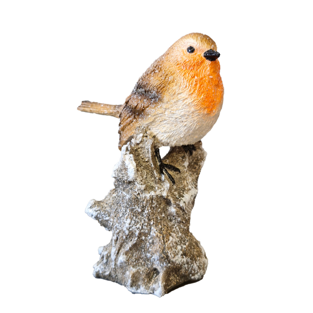 Robin on Log