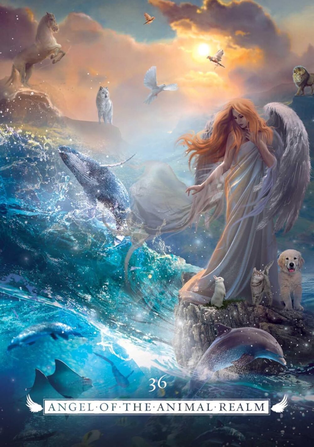 Angel Oracle - Image 15