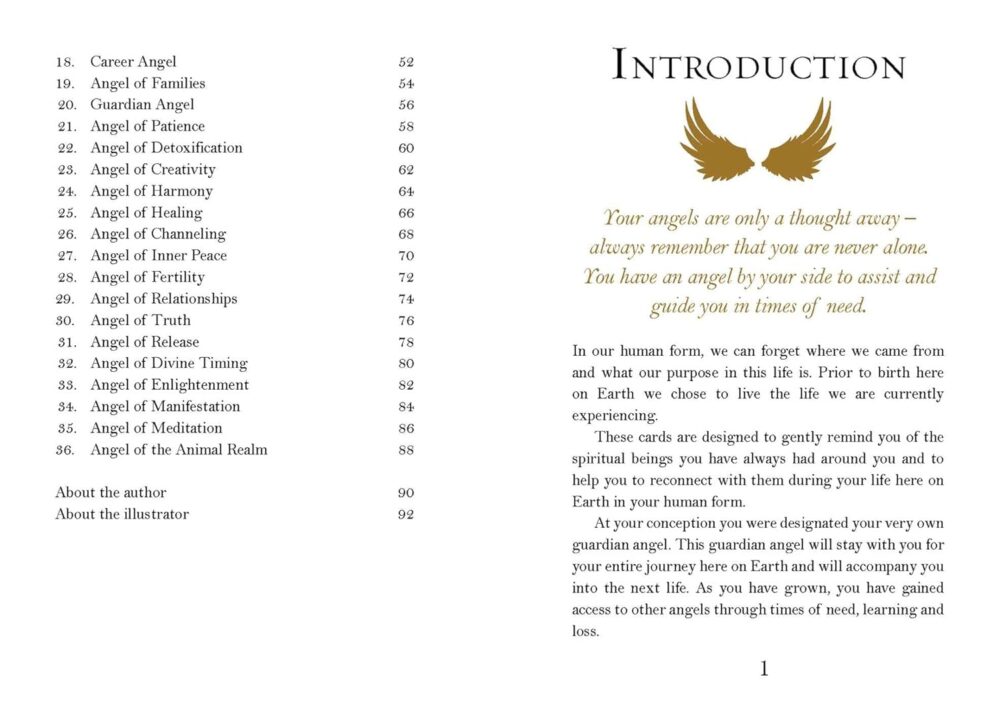 Angel Oracle - Image 5