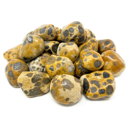 Leopard Skin Jasper