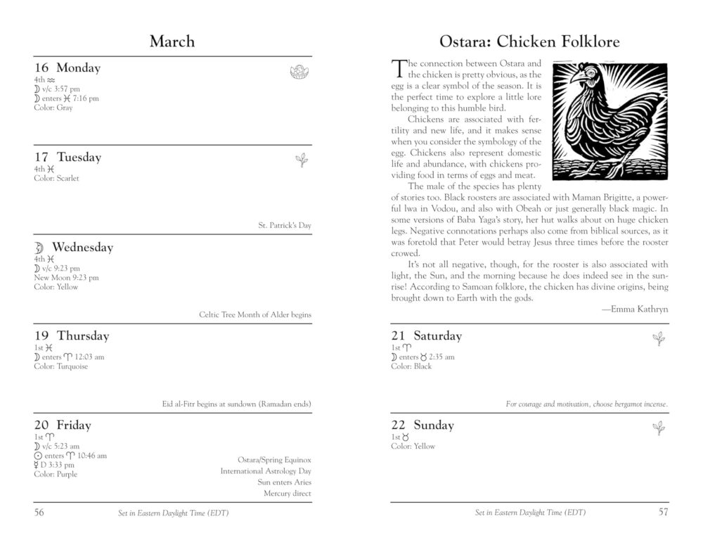 Llewellyn's Witches Datebook 2026 - Image 2